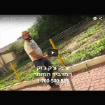 וידאו הדגמת הדברה וריסוס מזיקים