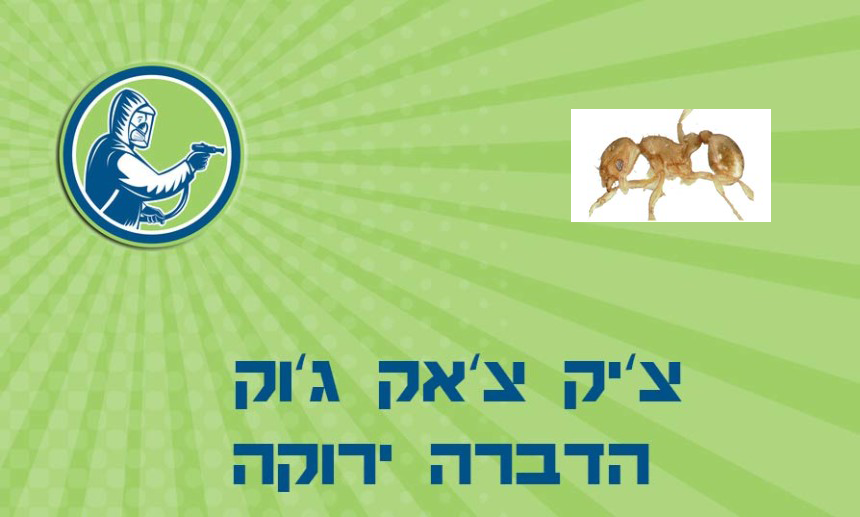 הדברת נמלים