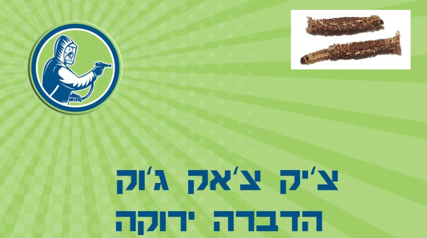 הדברת עש