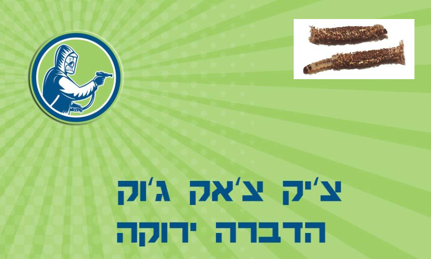 הדברת עש