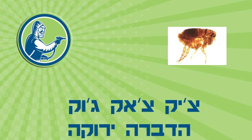 ריסוס פרעושים