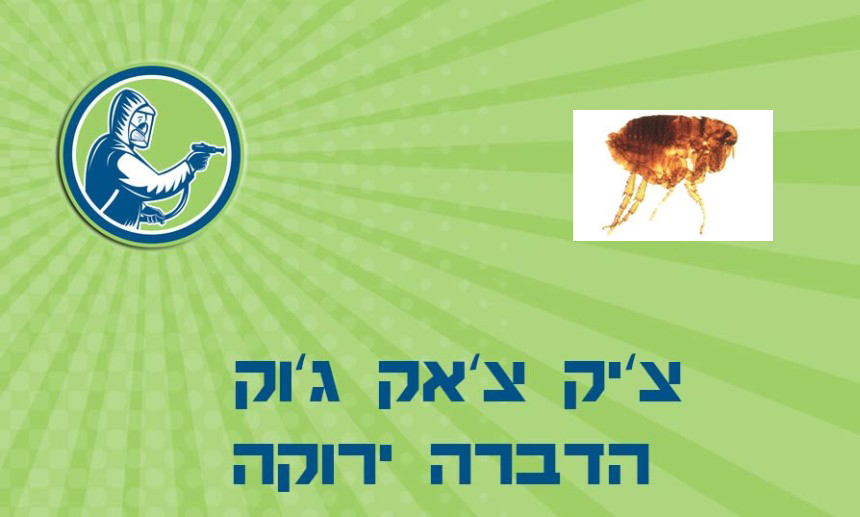 ריסוס פרעושים