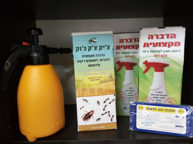 הדברה בזול לזבובים
