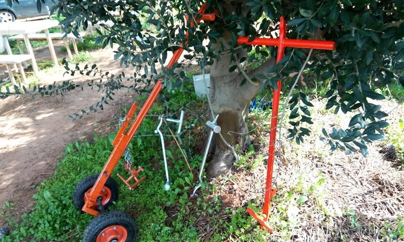 חיתוך שורשים בביוב