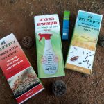כיצד מבצעים נכון הדברה נגד נמלים בבית?