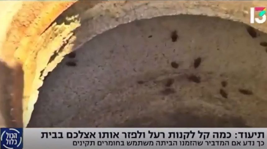 צ’יק צ’ק ג’וק מתארח ב-“הכל כלול” ערוץ 13 – מהיום כל אחד מדביר לבד עם חומרי הדברה בטוחים ויעילים לשנה!