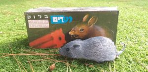 רעלים לעכברים וחולדות